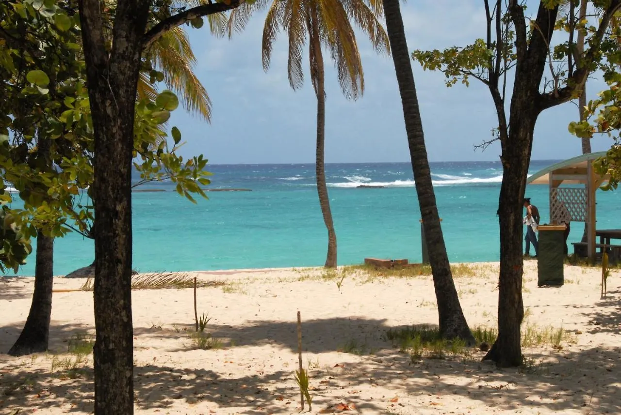 Catamaran Tao Hotel Sainte-Anne  Guadeloupe